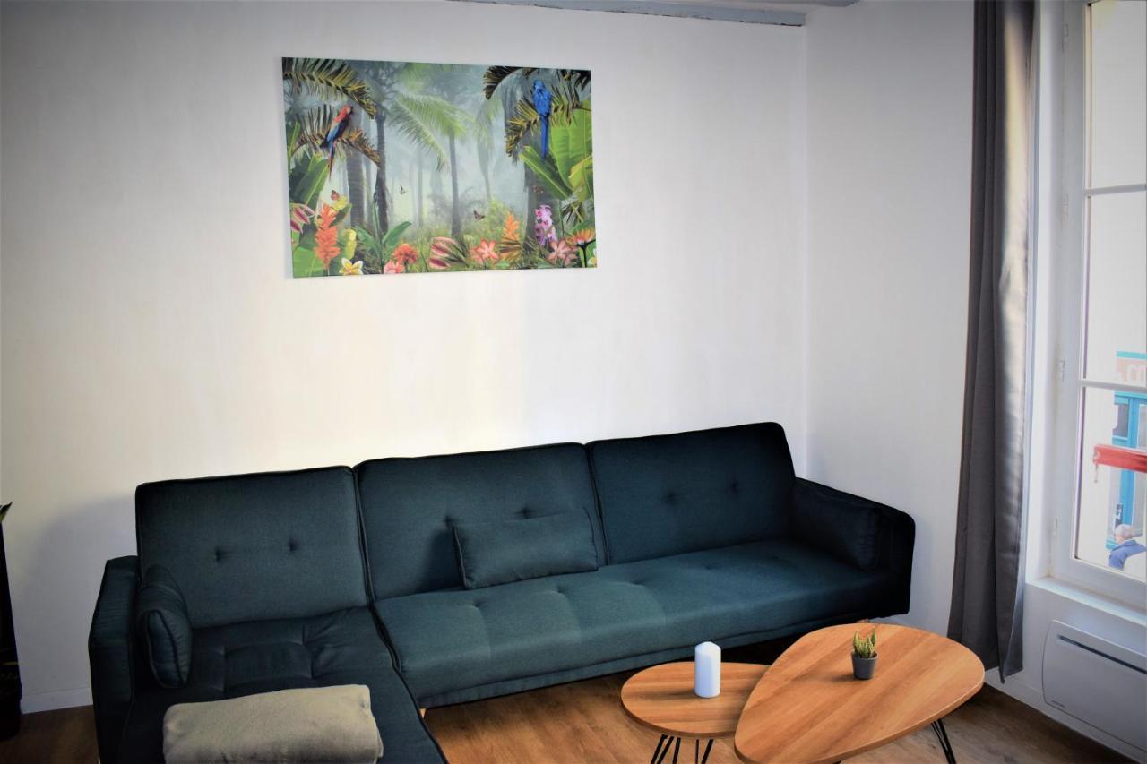 Gite Le Nid Des Zoo Zio, 5Mn Beauval, Appartement Terrasse Centre-Ville Сен-Анян Екстериор снимка