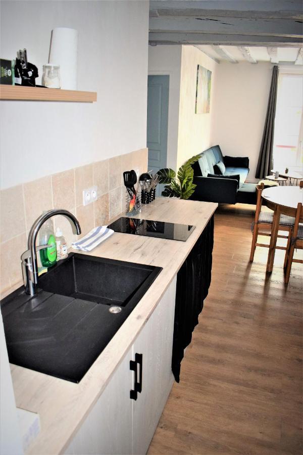 Gite Le Nid Des Zoo Zio, 5Mn Beauval, Appartement Terrasse Centre-Ville Сен-Анян Екстериор снимка