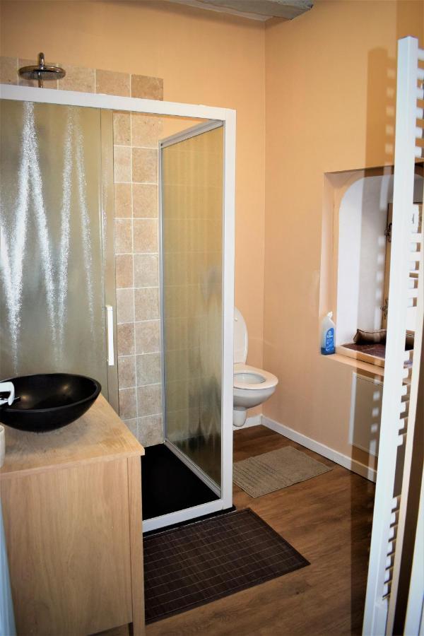 Gite Le Nid Des Zoo Zio, 5Mn Beauval, Appartement Terrasse Centre-Ville Сен-Анян Екстериор снимка