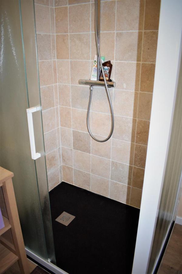 Gite Le Nid Des Zoo Zio, 5Mn Beauval, Appartement Terrasse Centre-Ville Сен-Анян Екстериор снимка